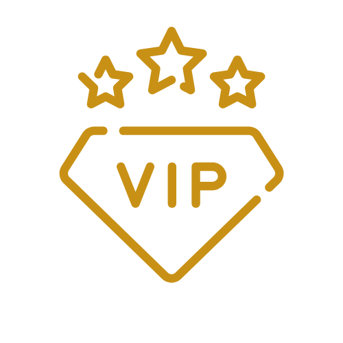 שירות vip